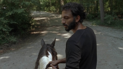 twd907_2070.jpg