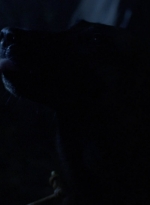 twd907_1214.jpg