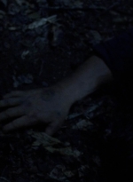 twd907_1224.jpg