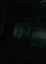 twd907_1268.jpg