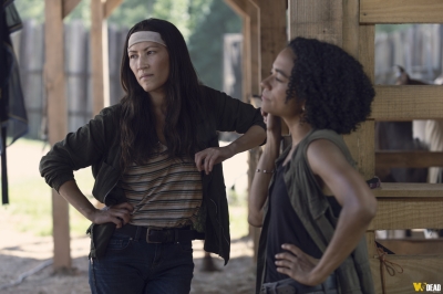 S09E08 - Evolution
