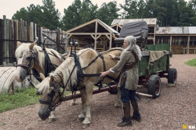 S09E08 - Evolution
