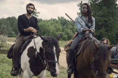 S09E08 - Evolution
