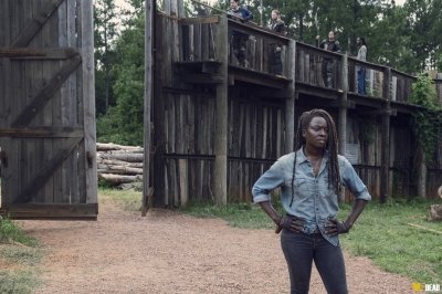 S09E08 - Evolution

