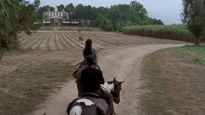 twd908_0249.jpg