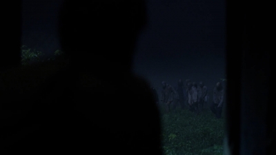 twd908_1399.jpg