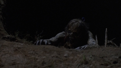 twd908_1490.jpg