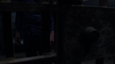 twd908_1702.jpg