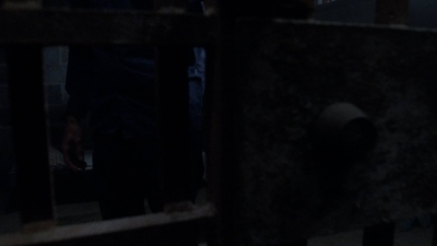 twd908_1704.jpg
