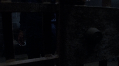 twd908_1706.jpg