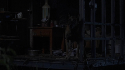 twd908_1961.jpg