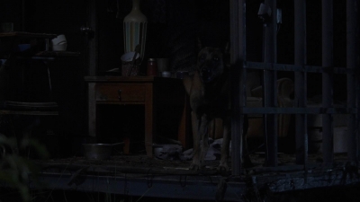 twd908_1962.jpg