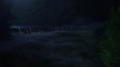 twd908_1995.jpg