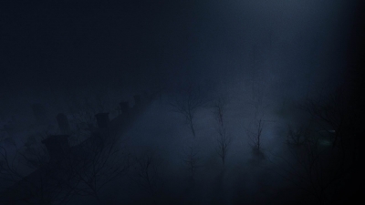 twd908_1999.jpg