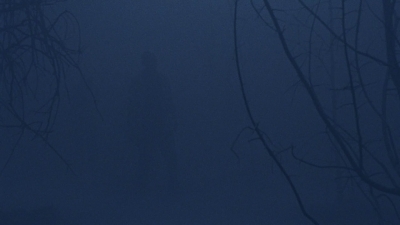 twd908_2023.jpg