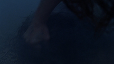 twd908_2271.jpg