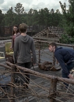 twd908_1109.jpg