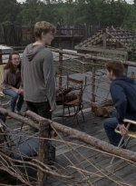 twd908_1111.jpg