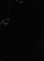 twd908_1334.jpg