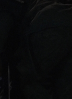 twd908_1335.jpg