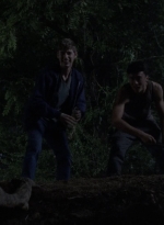 twd908_1508.jpg