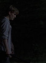 twd908_1511.jpg