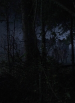 twd908_1556.jpg