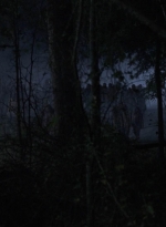 twd908_1557.jpg