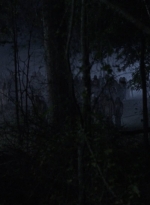 twd908_1558.jpg