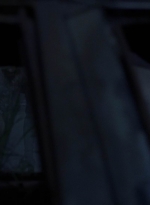 twd908_1562.jpg