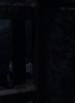 twd908_1660.jpg