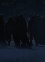 twd908_1974.jpg