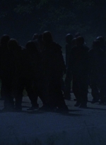 twd908_1975.jpg