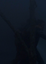 twd908_2006.jpg