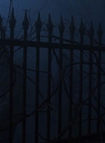 twd908_2033.jpg
