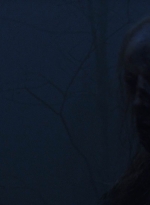 twd908_2089.jpg
