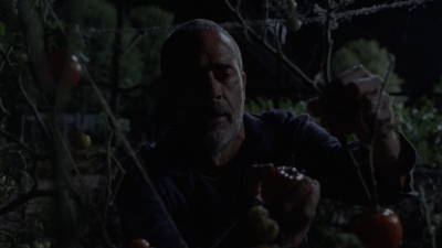 Click to view full size image
==============
twd909_0095.jpg twd909_0095.jpg