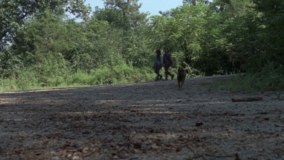twd909_0457.jpg