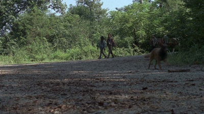 twd909_0458.jpg