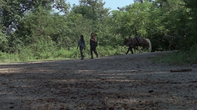 twd909_0460.jpg