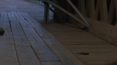 Click to view full size image
==============
twd909_0637.jpg twd909_0637.jpg