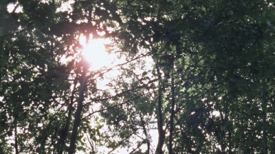 twd909_0647.jpg