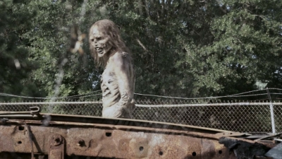 twd909_0658.jpg