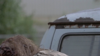 twd909_0698.jpg
