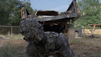 twd909_0717.jpg