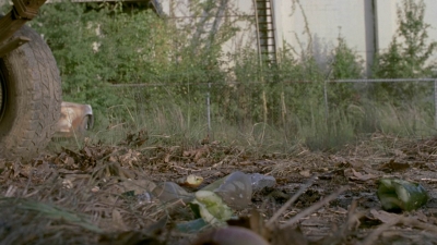 twd909_0737.jpg