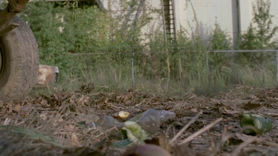 twd909_0739.jpg