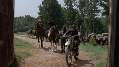 twd909_0768.jpg