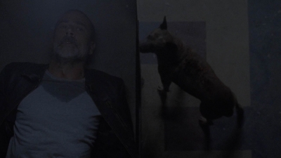 twd909_1045.jpg