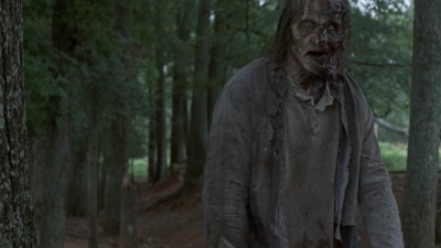 twd909_1122.jpg